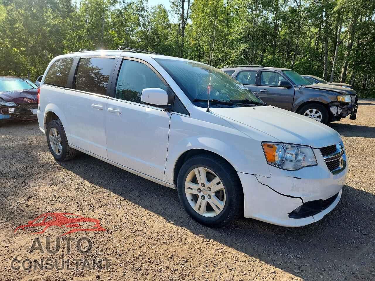 DODGE CARAVAN 2019 - 2C4RDGDG2KR749886