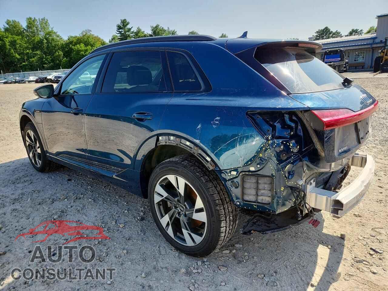 AUDI E-TRON 2021 - WA1AAAGE8MB038315