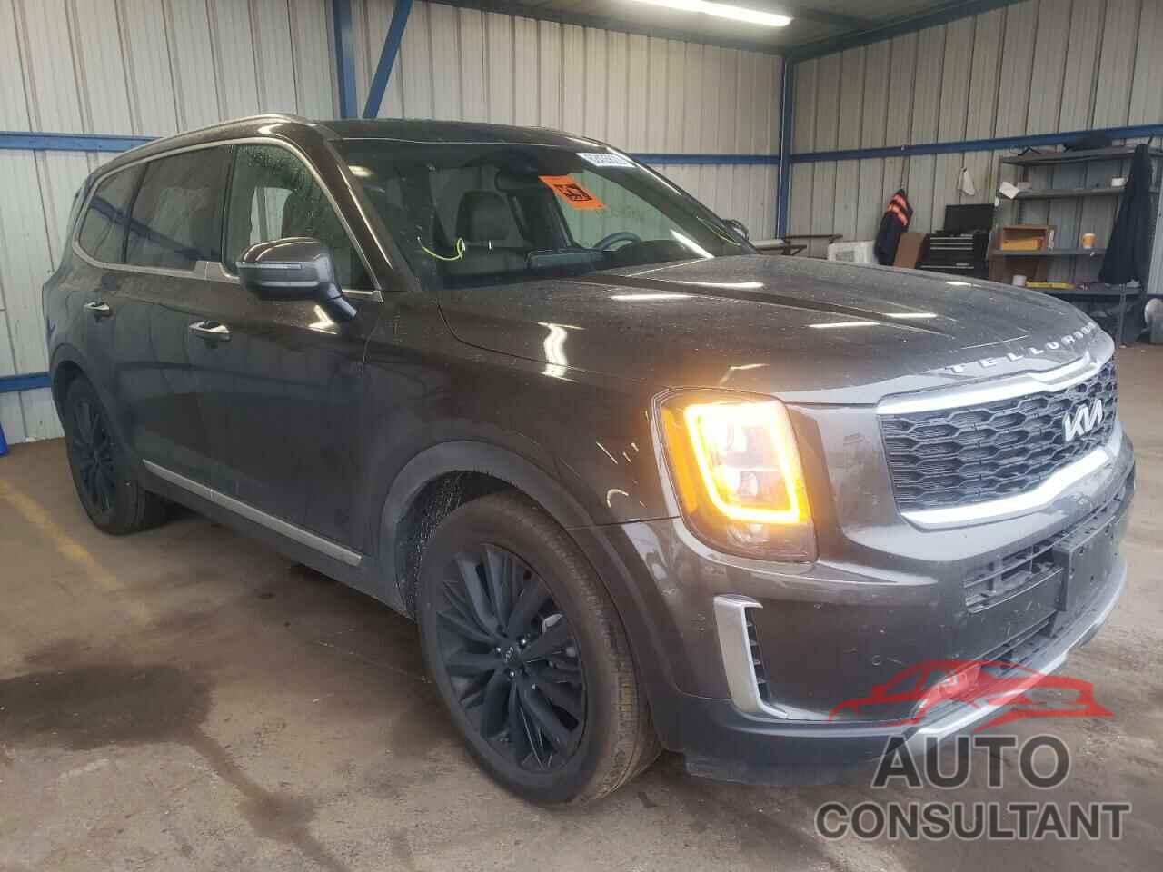 KIA TELLURIDE 2022 - 5XYP5DHC5NG252527