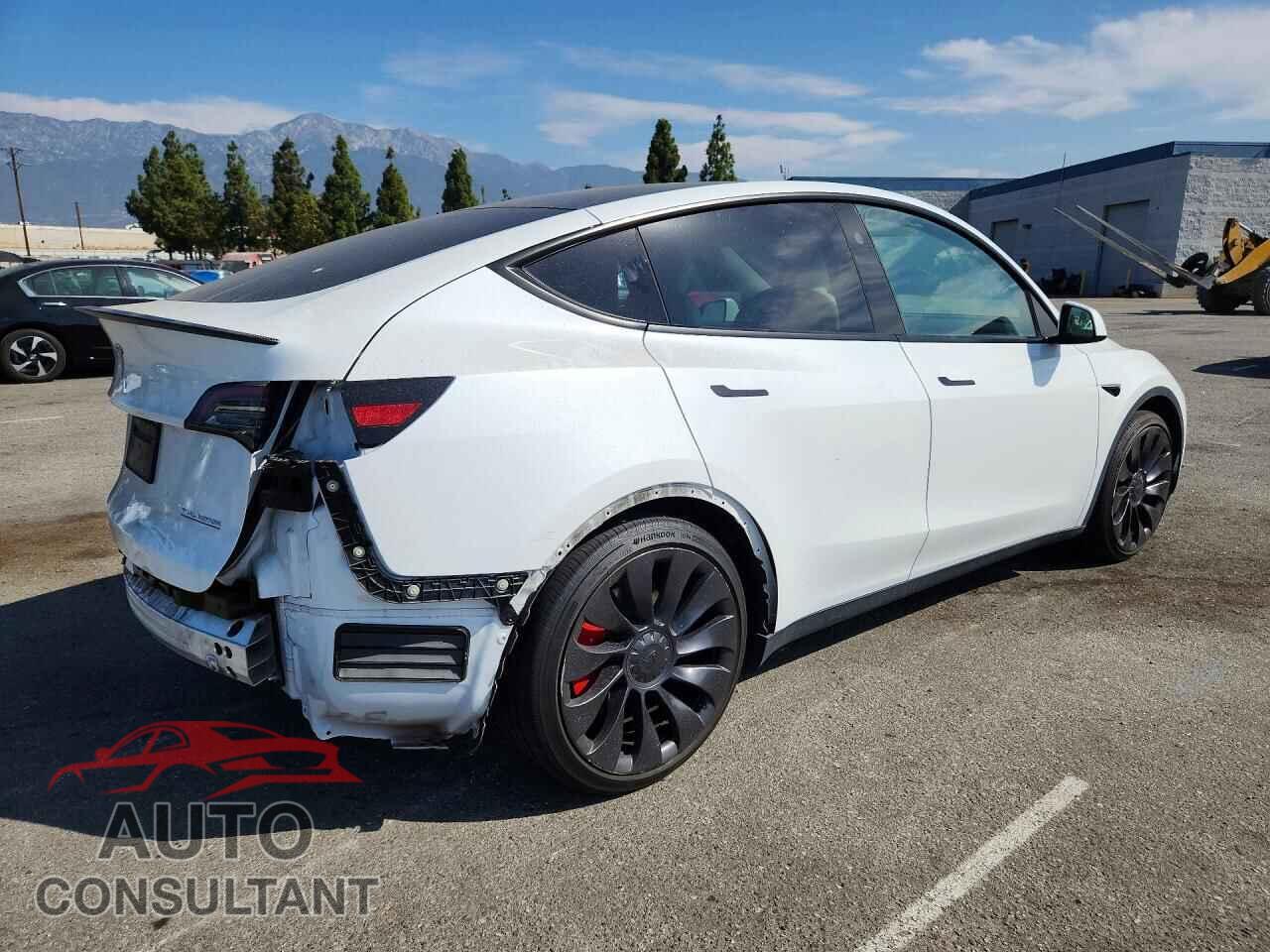 TESLA MODEL Y 2024 - 7SAYGDEF6RF113813