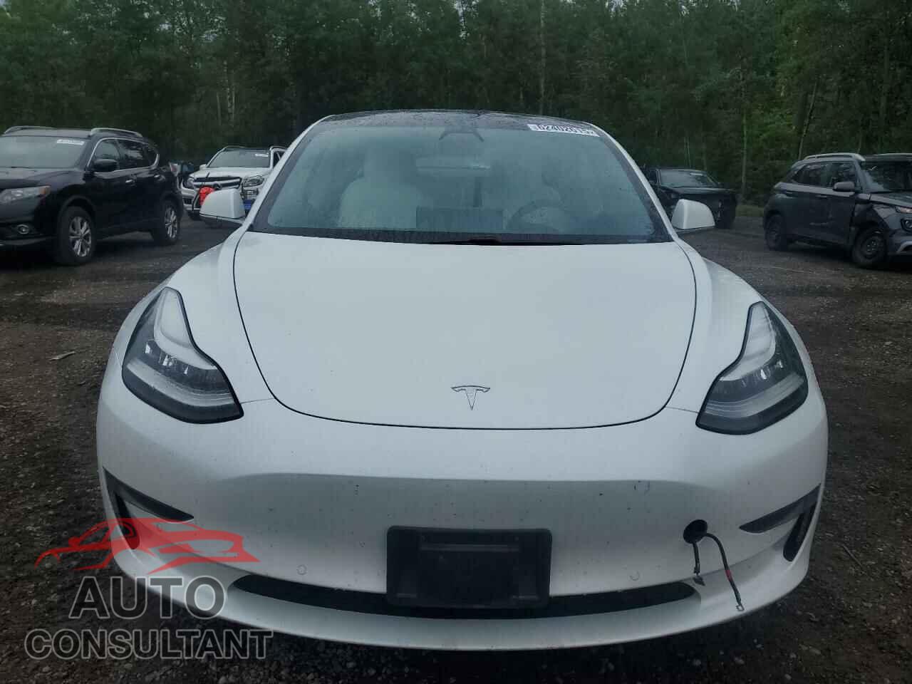 TESLA MODEL 3 2020 - 5YJ3E1EA5LF591549
