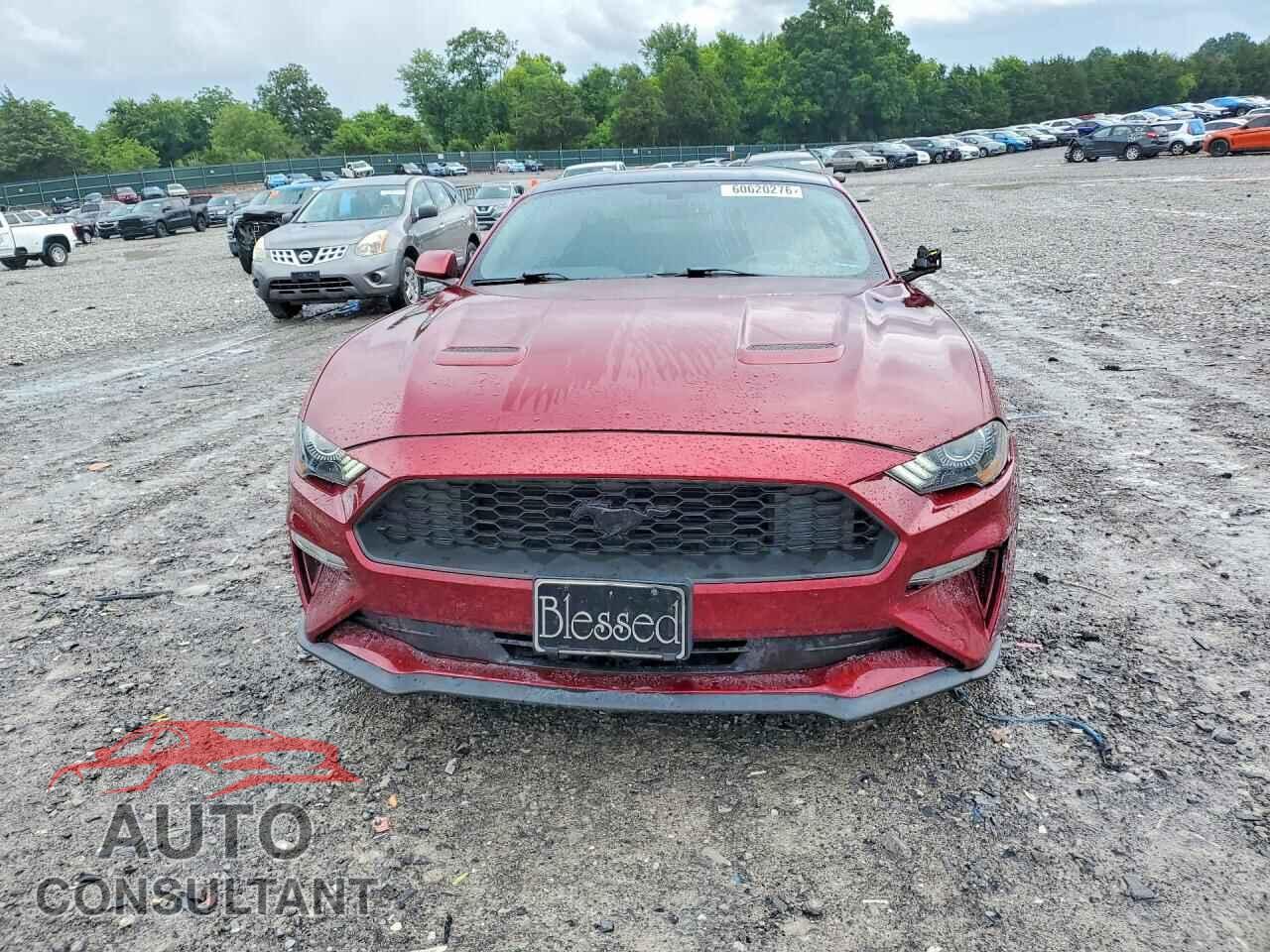 FORD MUSTANG 2019 - 1FA6P8TH4K5196610