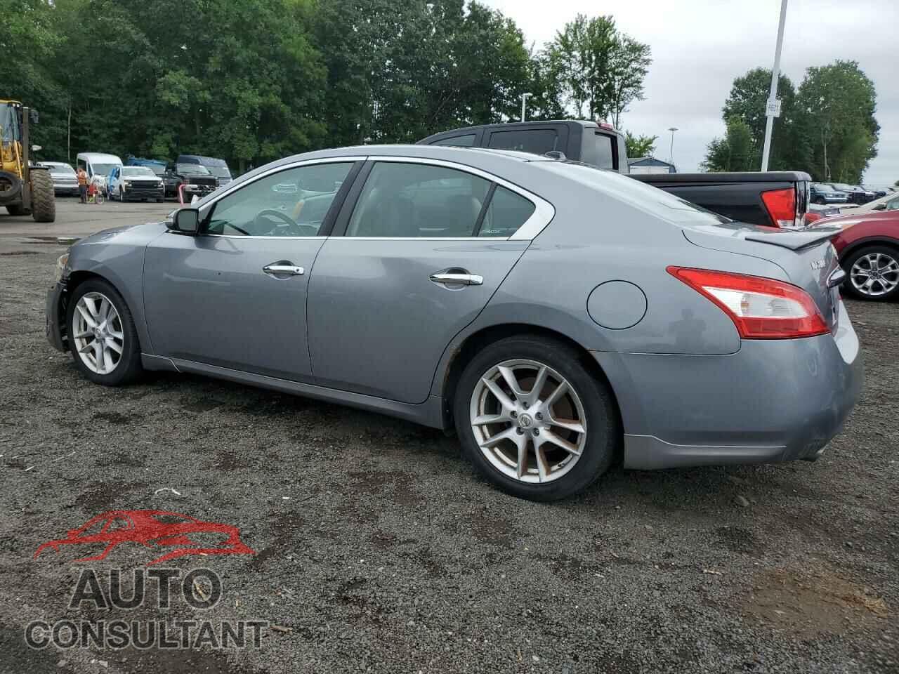 NISSAN MAXIMA 2009 - 1N4AA51E19C846969