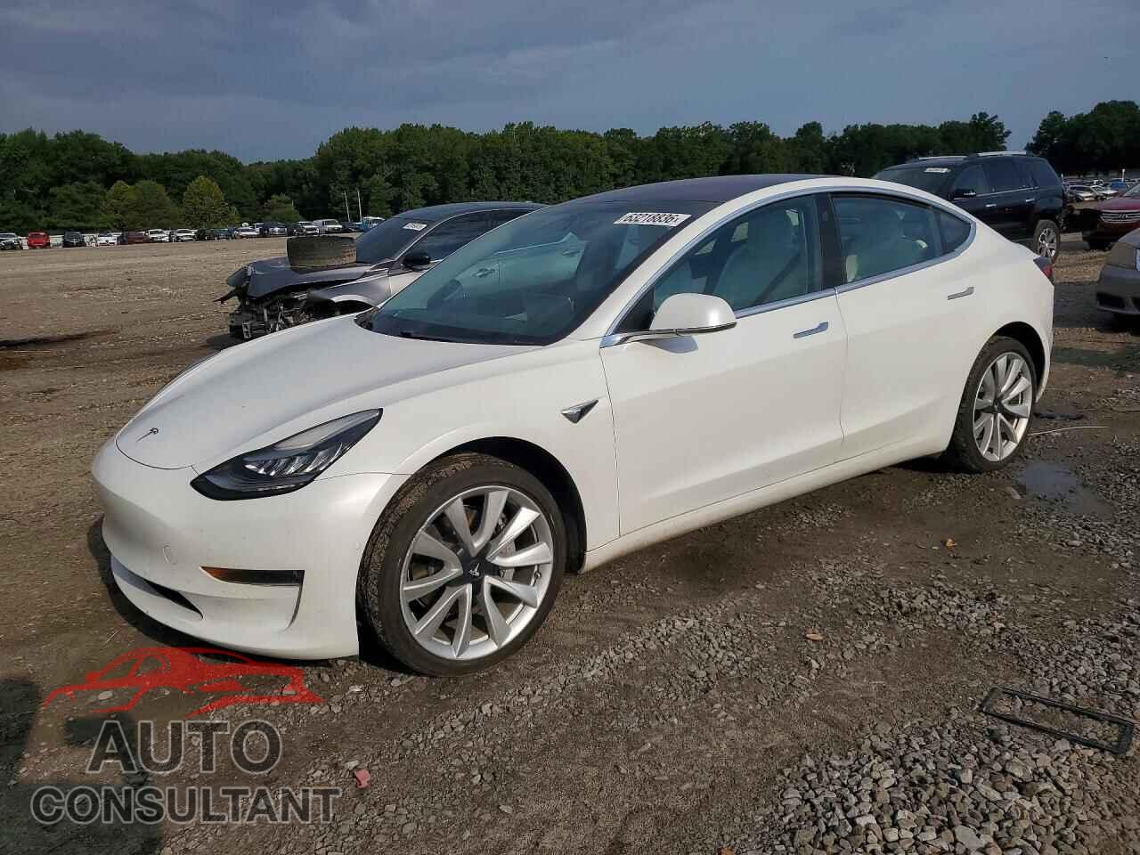 TESLA MODEL 3 2018 - 5YJ3E1EA6JF169657