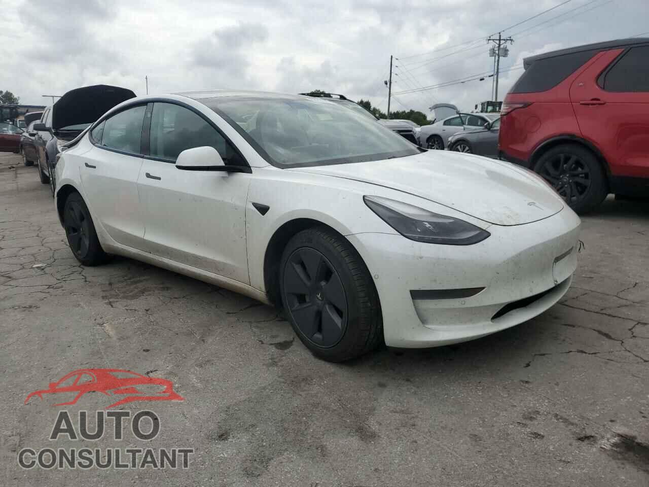 TESLA MODEL 3 2021 - 5YJ3E1EA5MF915245