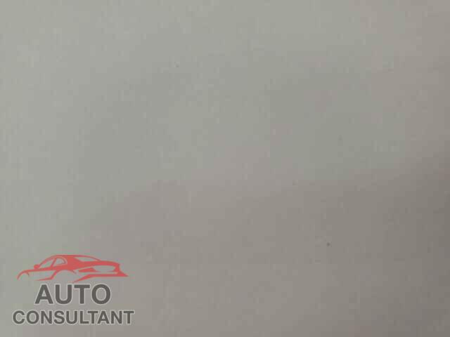 TESLA MODEL 3 2019 - 5YJ3E1EA4KF395374