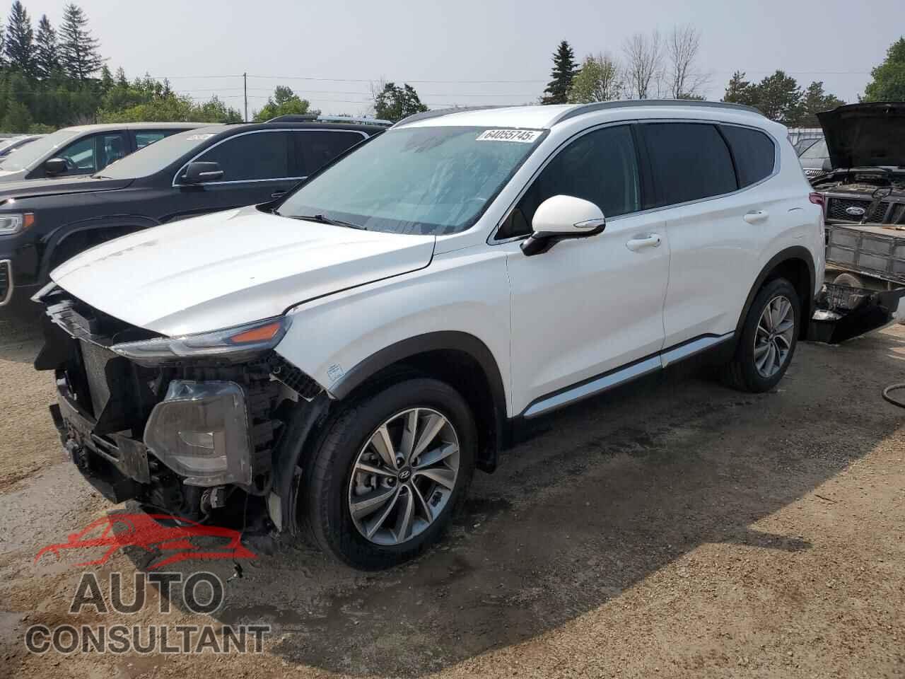 HYUNDAI SANTA FE 2019 - 5NMS3CAD9KH008457