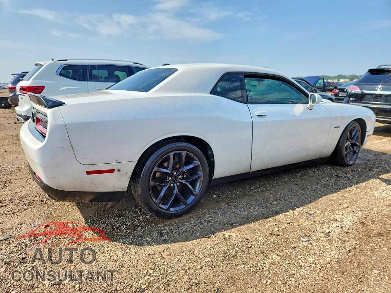 DODGE CHALLENGER 2019 - 2C3CDZBT8KH513397