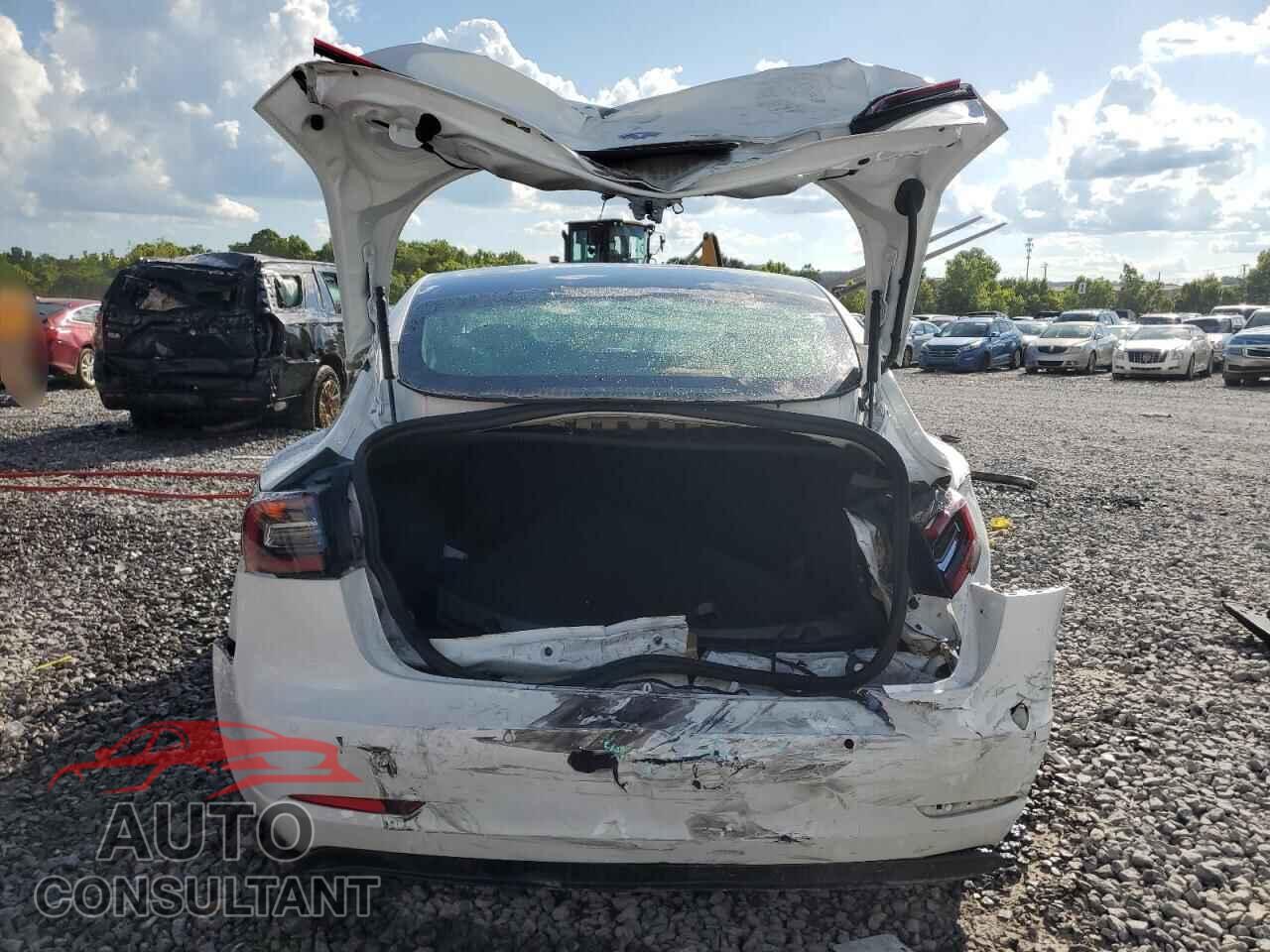 TESLA MODEL 3 2019 - 5YJ3E1EAXKF483880