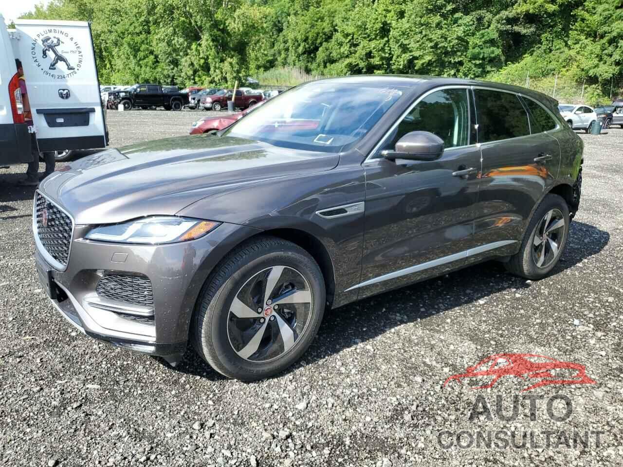 JAGUAR F-PACE 2021 - SADCJ2EX0MA686542