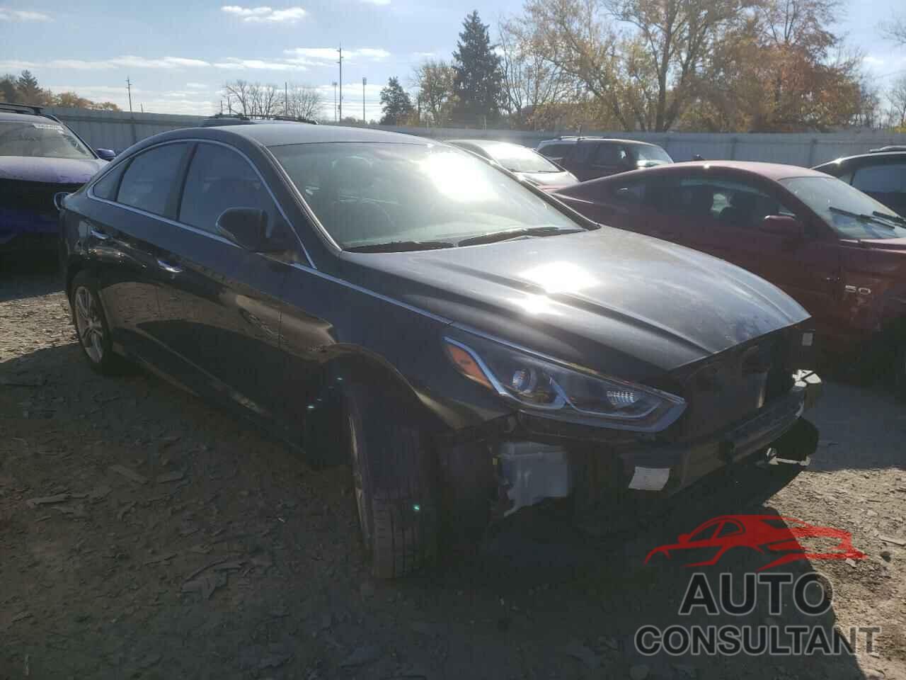 HYUNDAI SONATA 2018 - 5NPE34AFXJH667931
