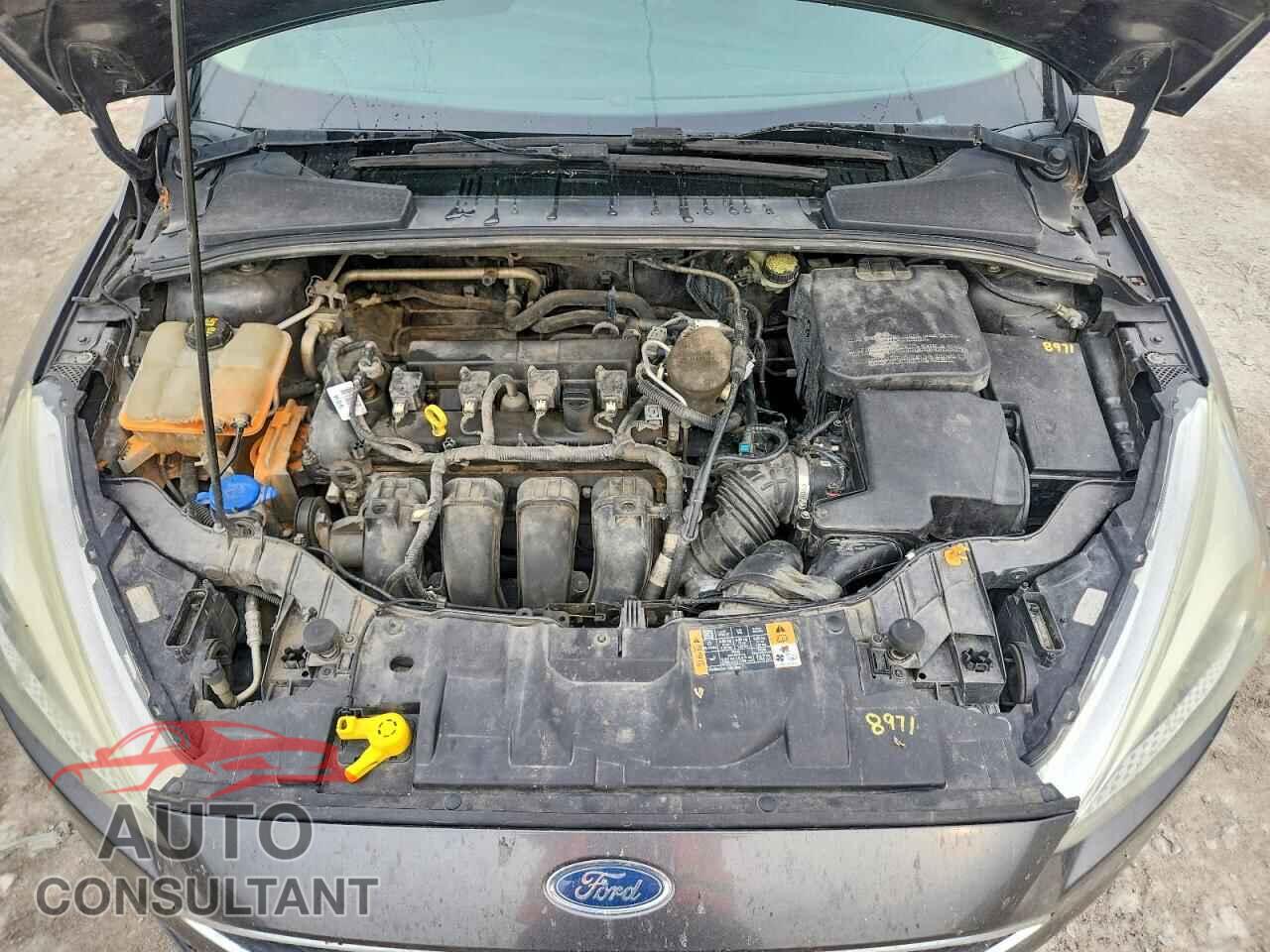 FORD FOCUS 2016 - 1FADP3F28GL242752