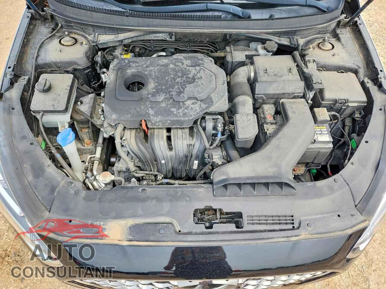 HYUNDAI SONATA 2019 - 5NPE34AF1KH758040