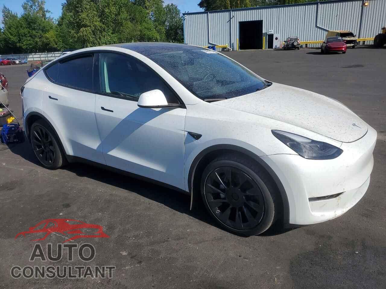 TESLA MODEL Y 2024 - 7SAYGAEEXRF088212