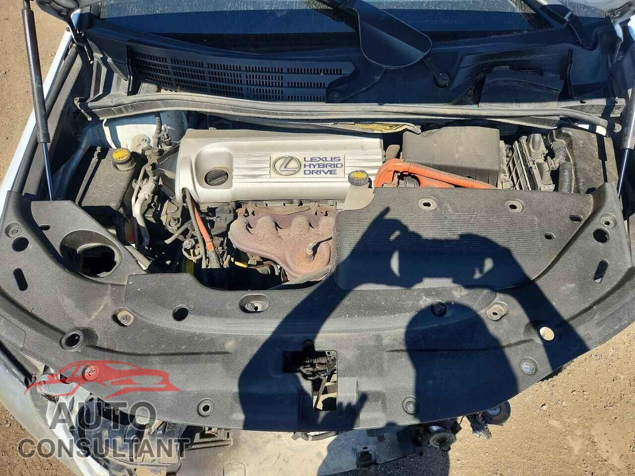 LEXUS HS 2010 - JTHBB1BA2A2013786