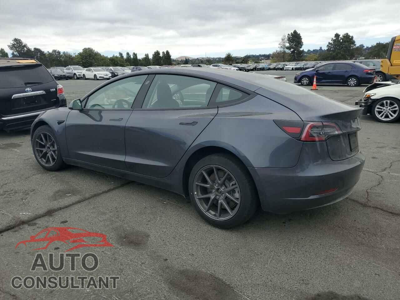 TESLA MODEL 3 2021 - 5YJ3E1EA5MF877791