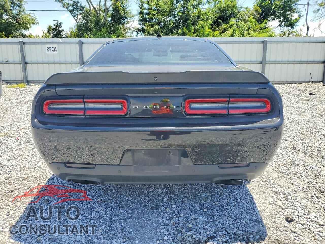 DODGE CHALLENGER 2019 - 2C3CDZBT2KH593005