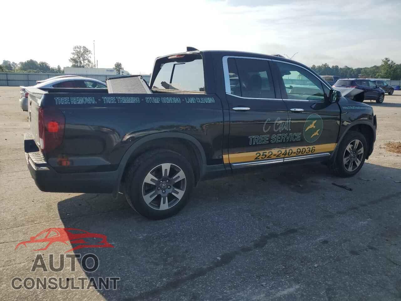 HONDA RIDGELINE 2019 - 5FPYK3F76KB009624