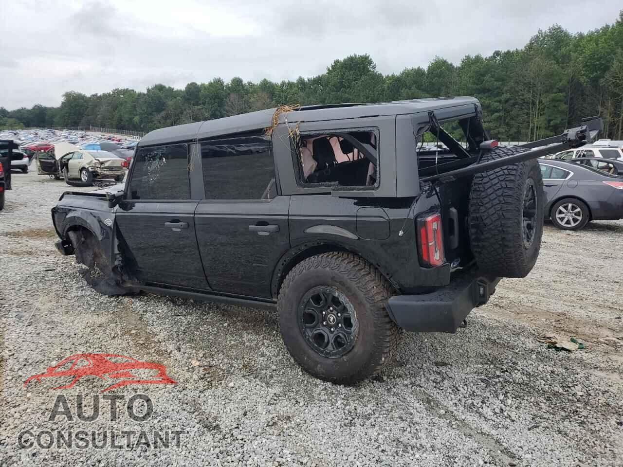 FORD BRONCO WIL 2024 - 1FMEE2BP4RLB16662