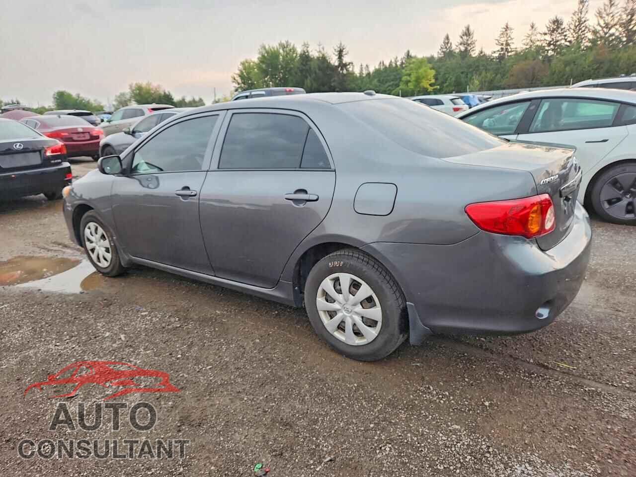 TOYOTA COROLLA 2010 - 2T1BU4EE0AC355461