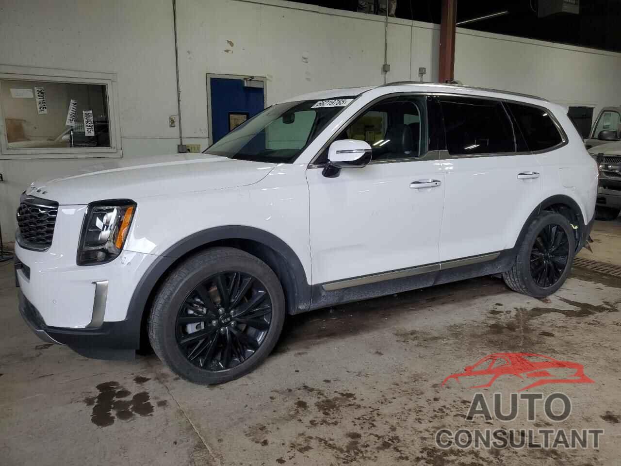 KIA TELLURIDE 2021 - 5XYP5DHC1MG127779