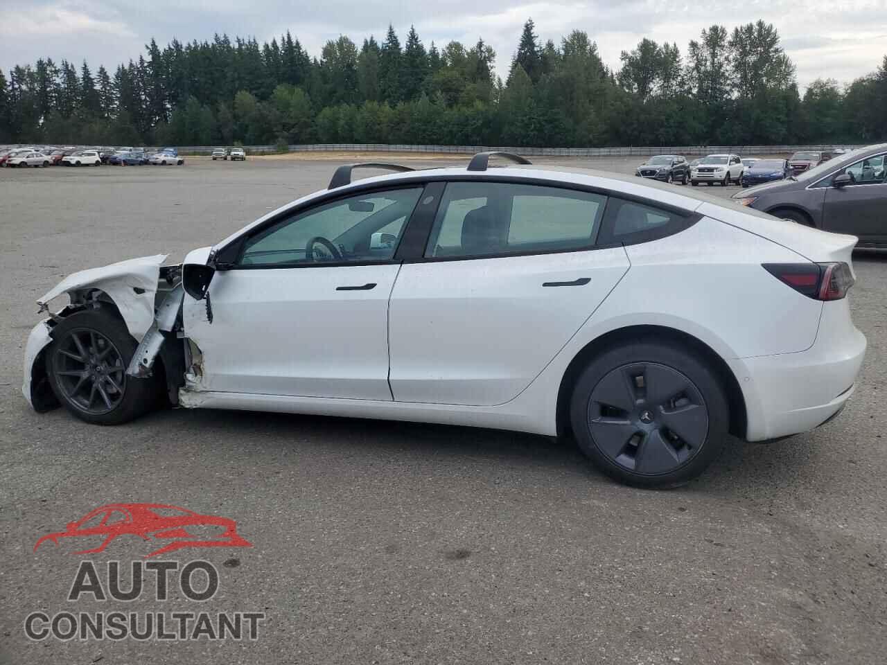 TESLA MODEL 3 2022 - 5YJ3E1EBXNF169773