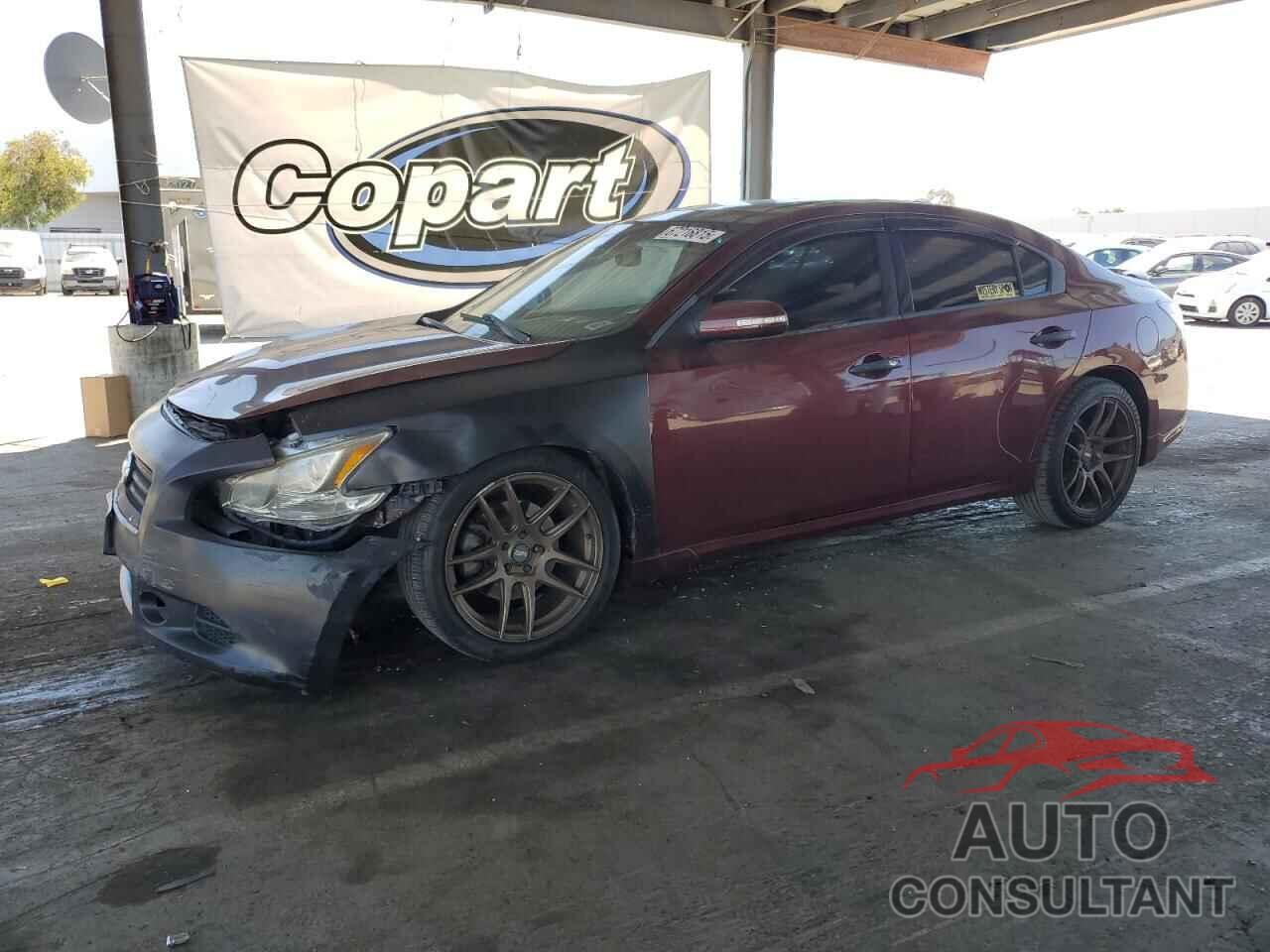 NISSAN MAXIMA 2013 - 1N4AA5AP7DC812853
