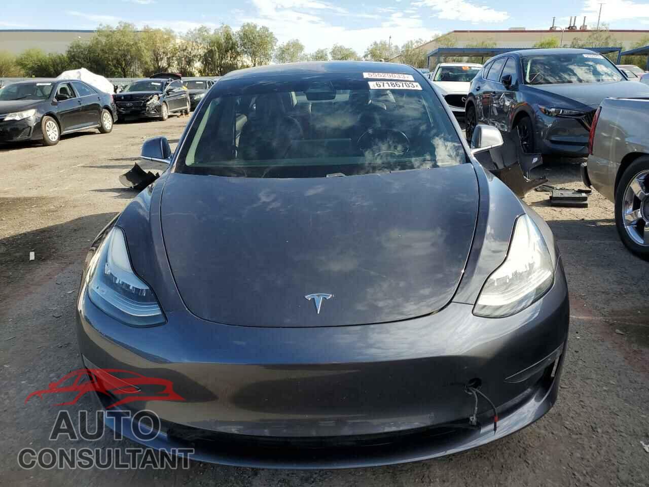 TESLA MODEL 3 2019 - 5YJ3E1EA6KF396400