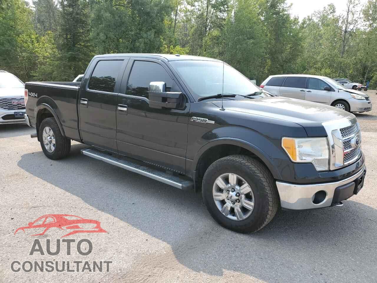 FORD F-150 2010 - 1FTFW1EV0AFD45613