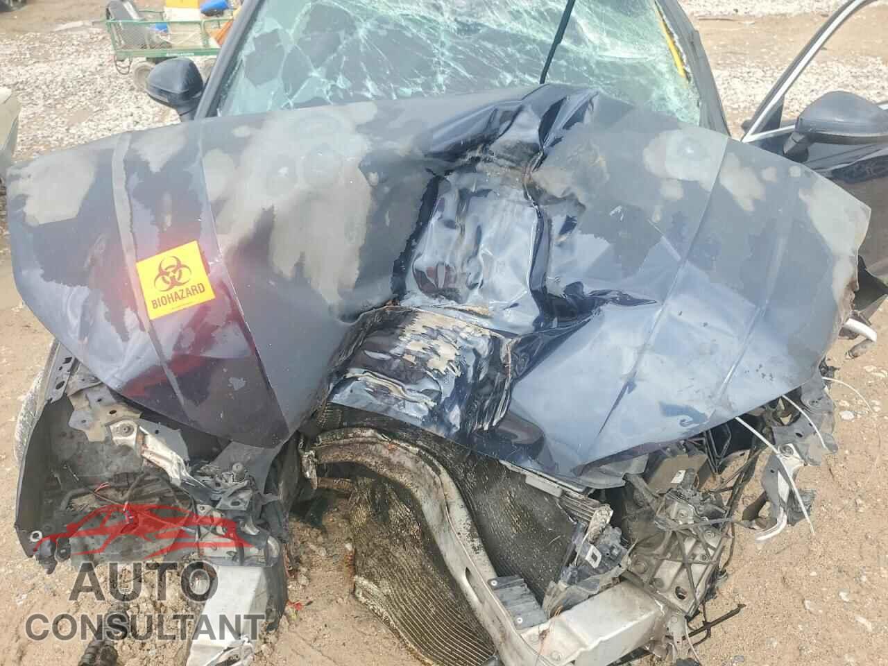 AUDI A4 2017 - WAUENAF4XHN029802