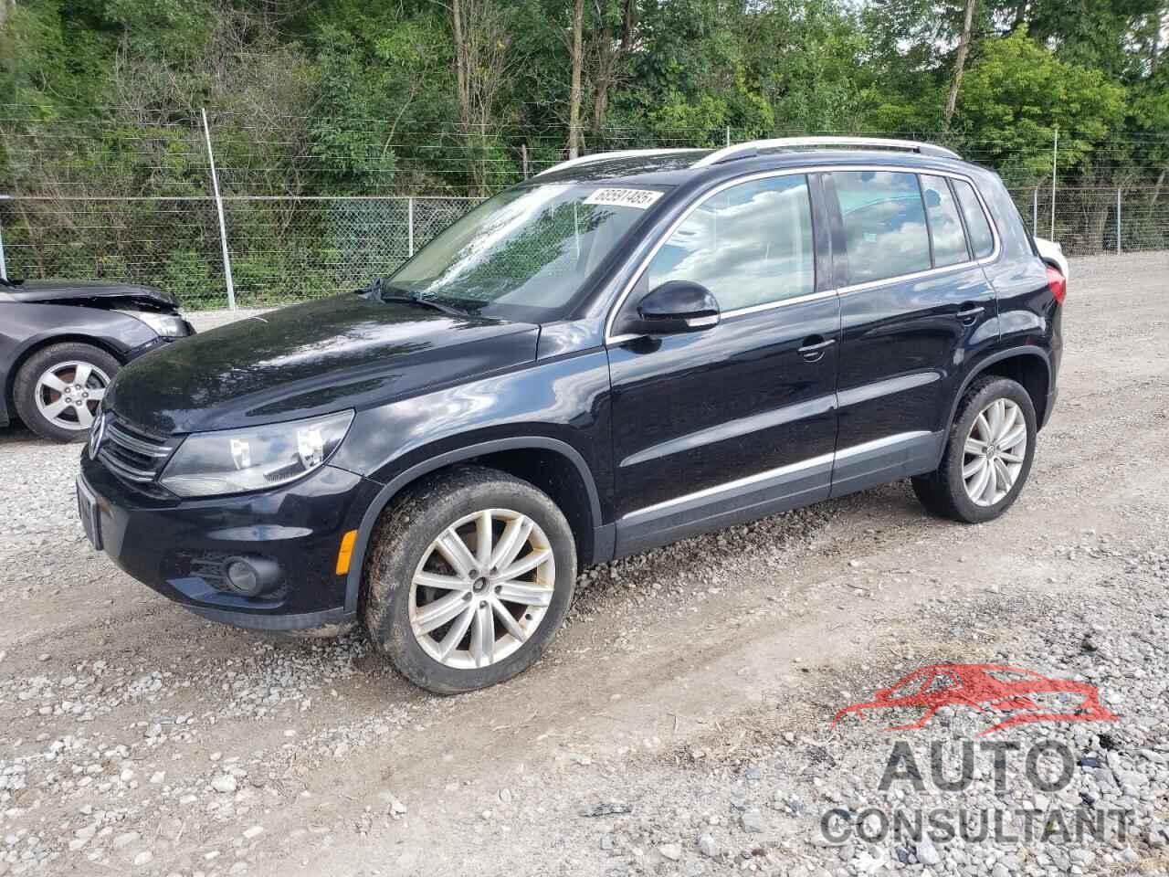 VOLKSWAGEN TIGUAN 2013 - WVGBV7AX1DW519930