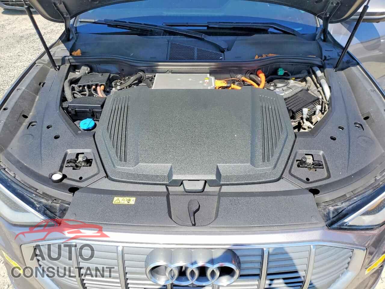 AUDI E-TRON 2019 - WA1LABGE5KB013108