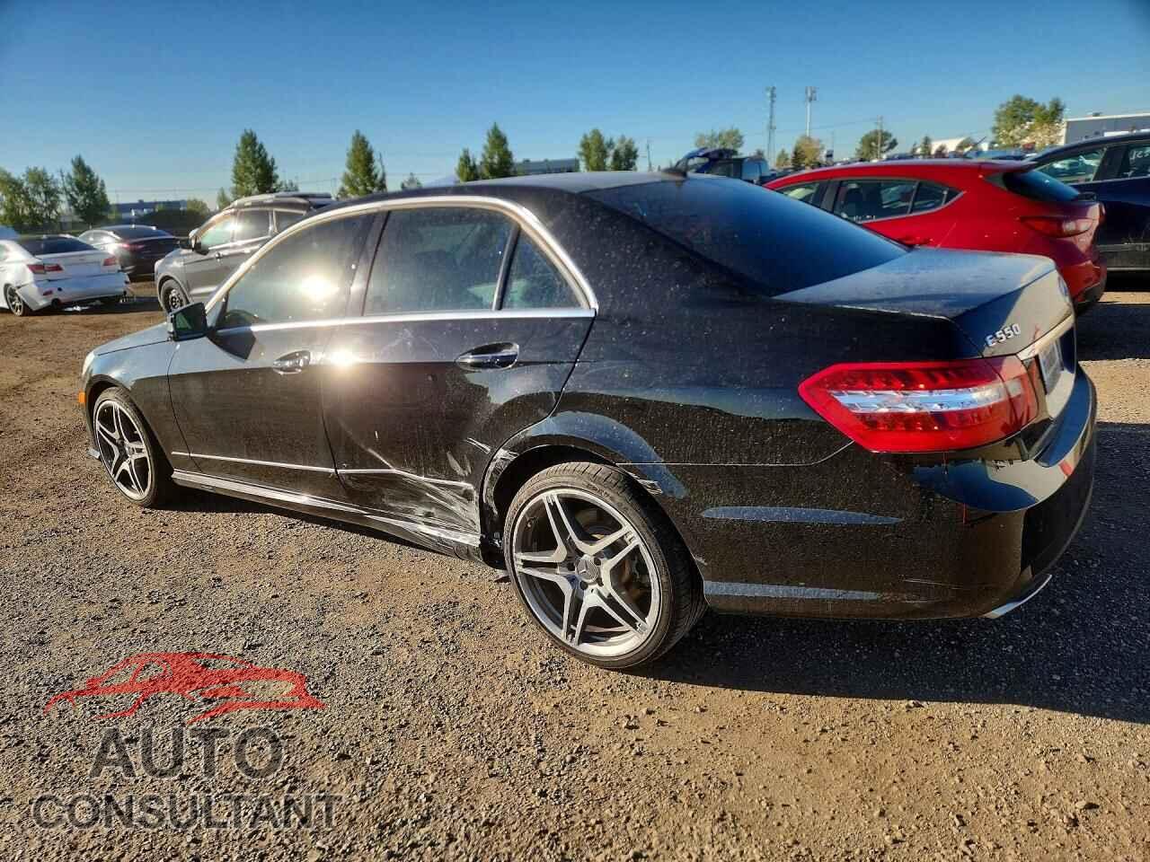 MERCEDES-BENZ E-CLASS 2010 - WDDHF9AB9AA179906
