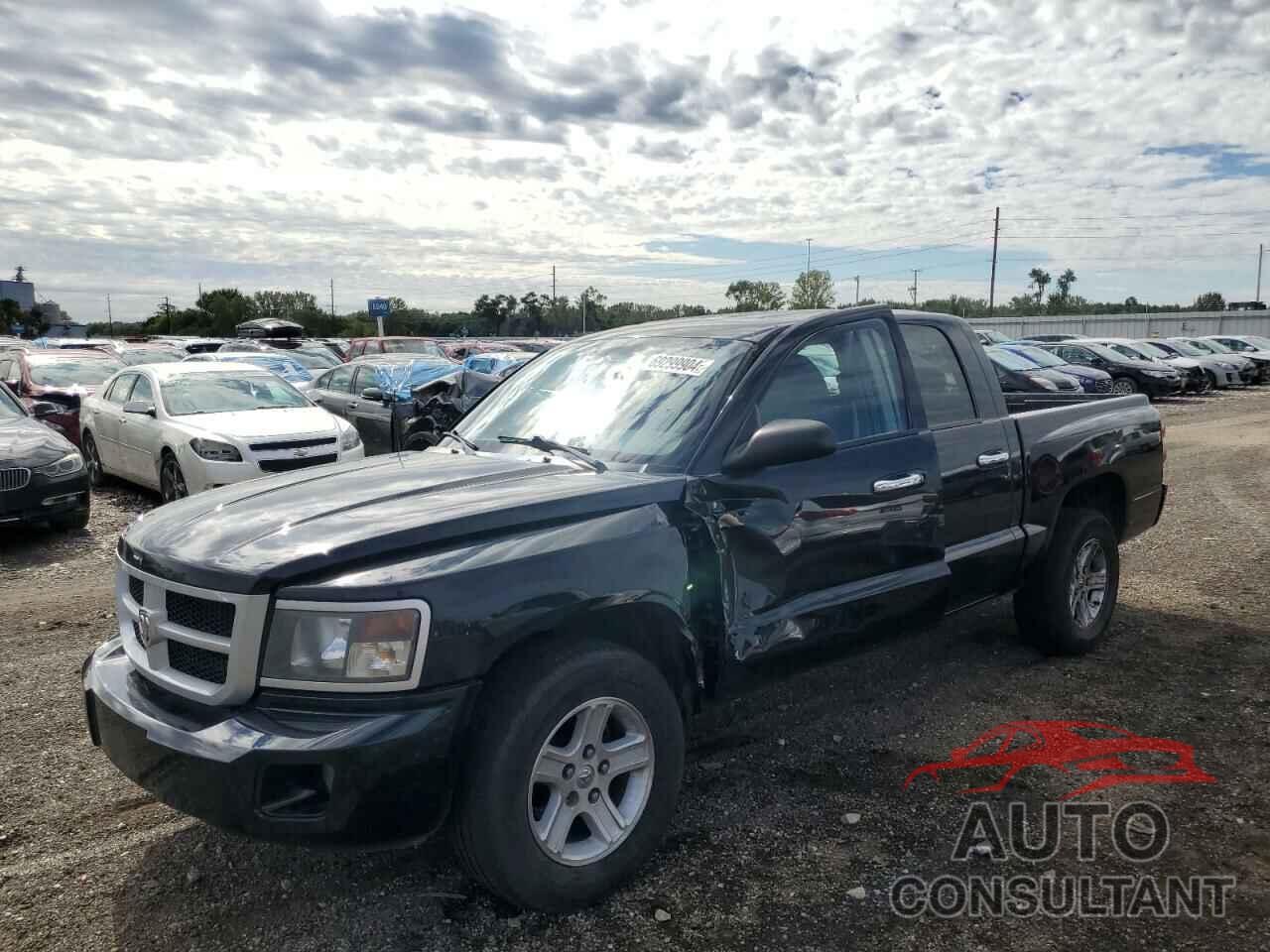 DODGE DAKOTA 2011 - 1D7RW3GK9BS559705