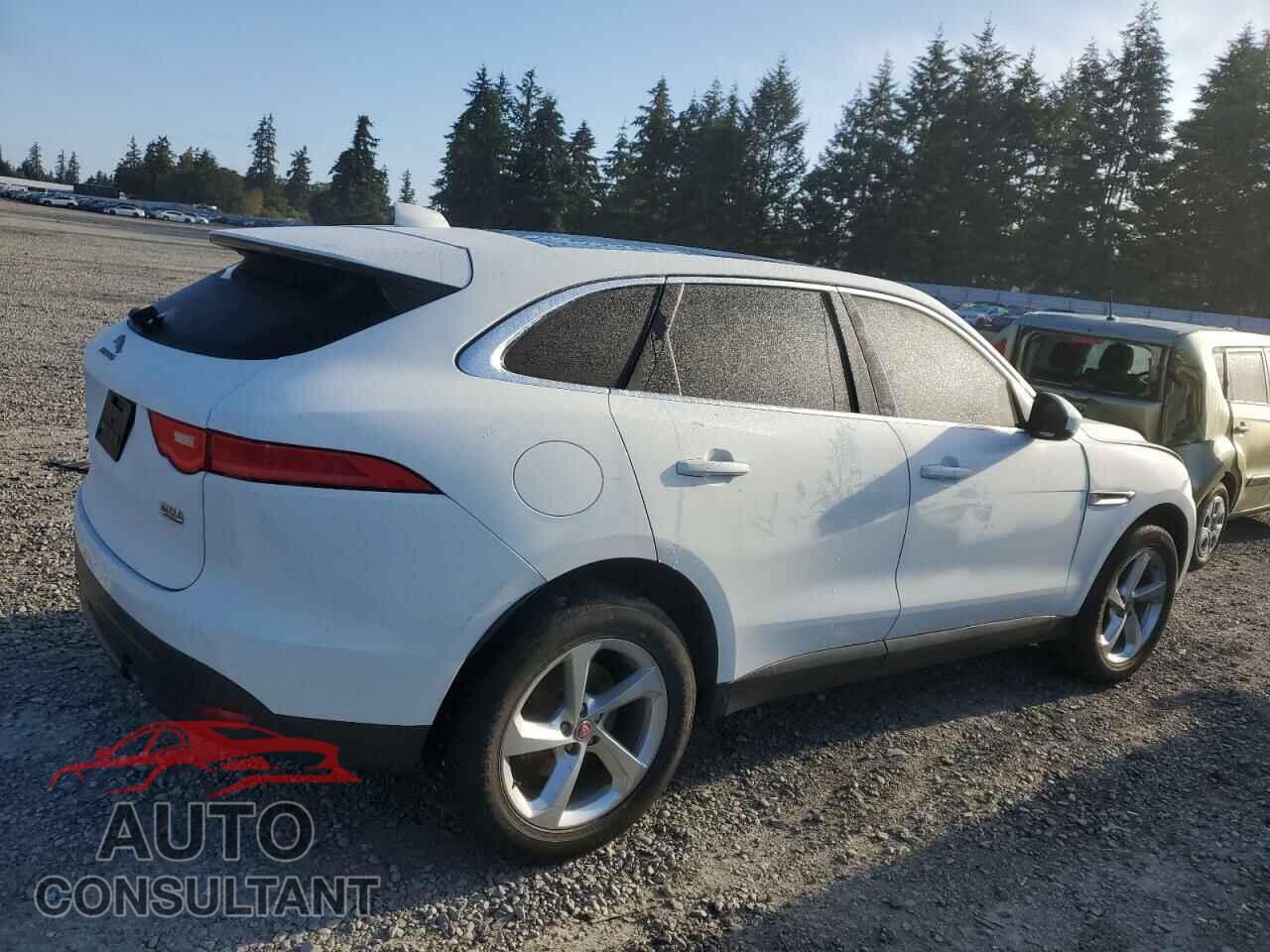 JAGUAR F-PACE 2019 - SADCS2FX3KA605817