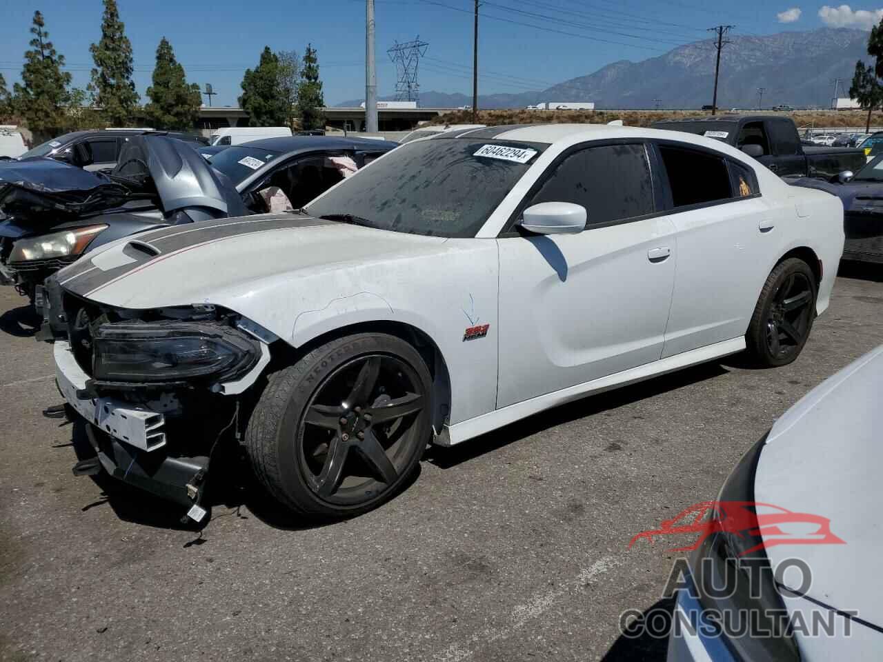 DODGE CHARGER 2019 - 2C3CDXGJ1KH753905