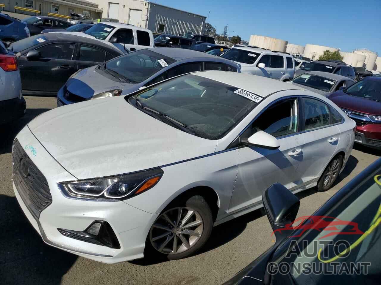 HYUNDAI SONATA 2018 - 5NPE24AF4JH599757