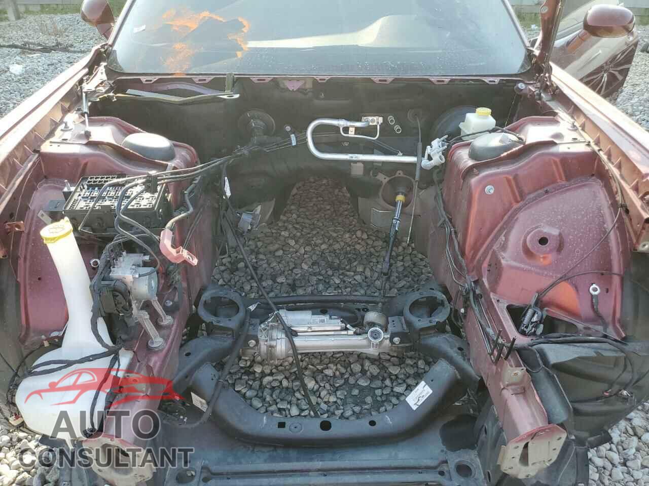 DODGE CHALLENGER 2019 - 2C3CDZFJ9KH649885