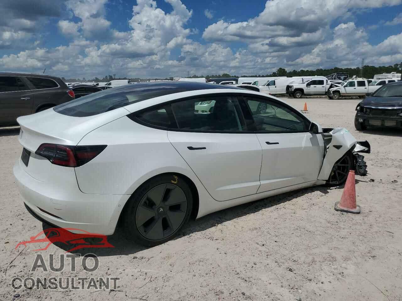 TESLA MODEL 3 2021 - 5YJ3E1EA1MF098131