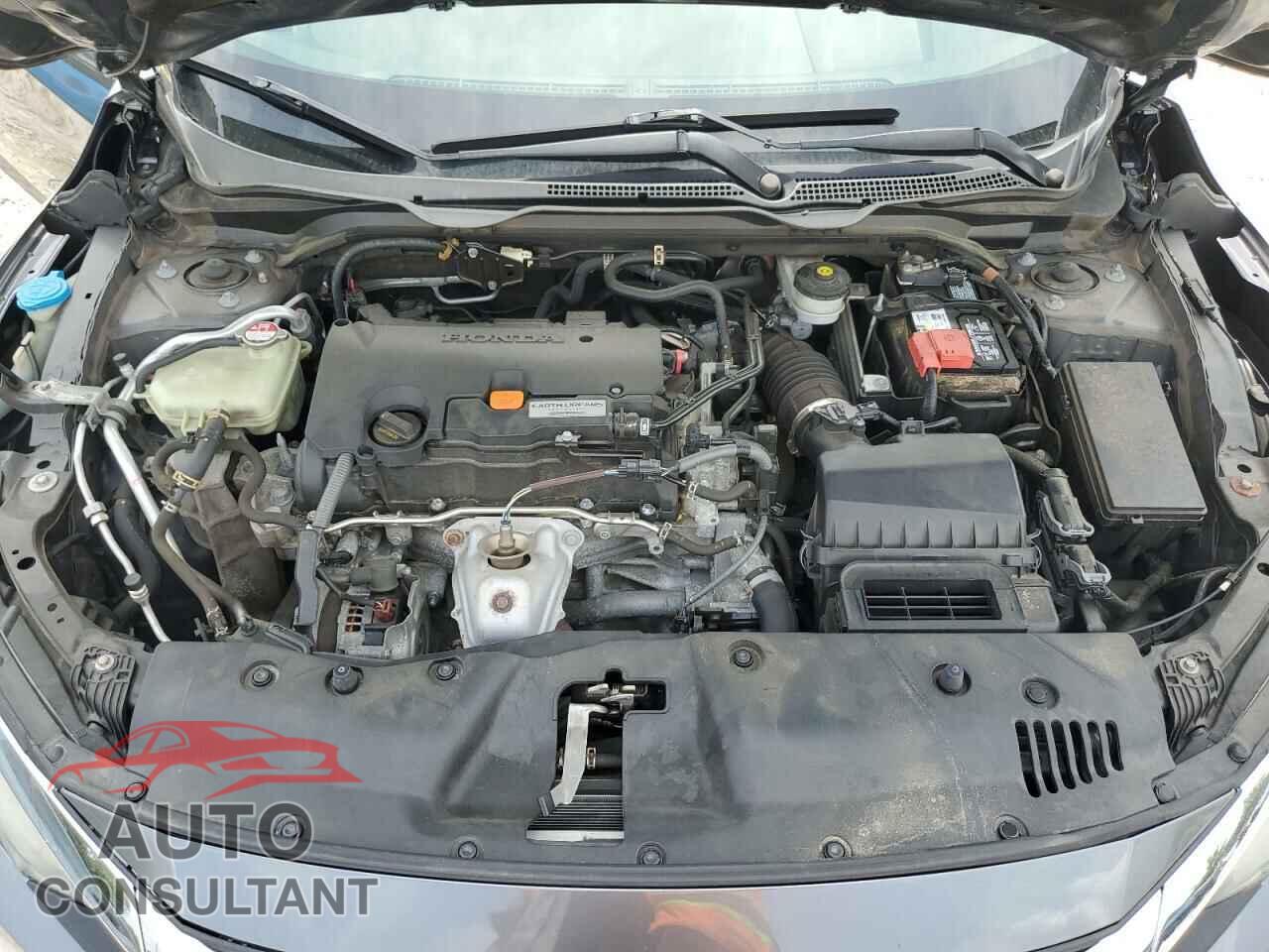 HONDA CIVIC 2017 - 2HGFC2F76HH528894
