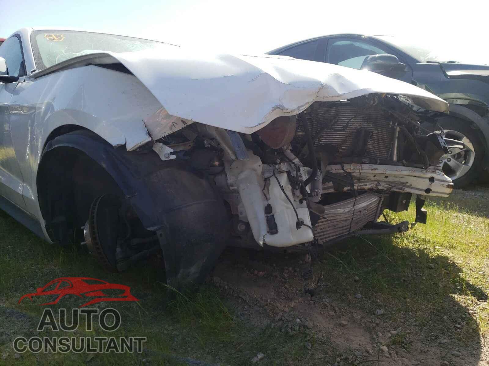 FORD MUSTANG 2019 - 1FA6P8TH0K5153222