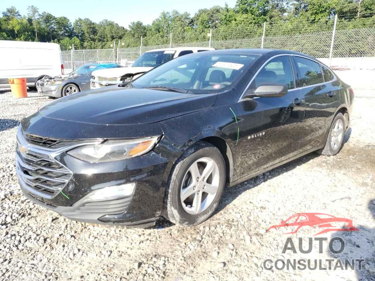 CHEVROLET MALIBU 2019 - 1G1ZB5ST6KF186125