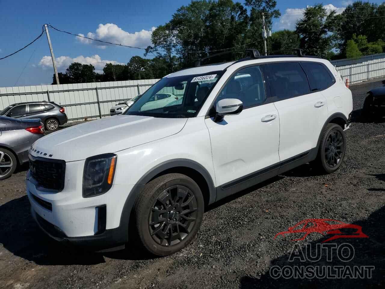 KIA TELLURIDE 2022 - 5XYP5DHC1NG235790