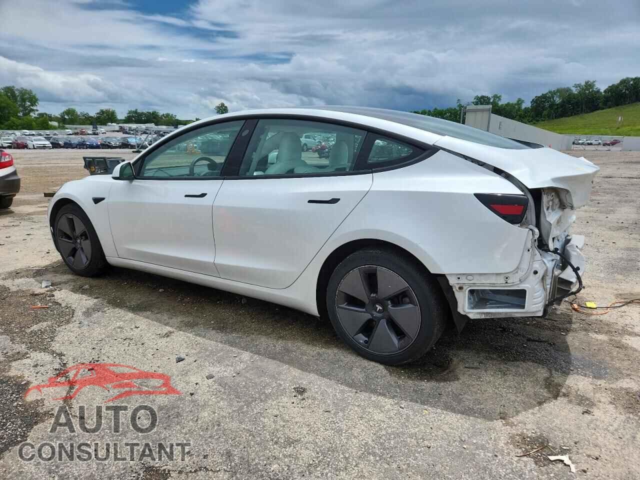 TESLA MODEL 3 2021 - 5YJ3E1EB0MF903304