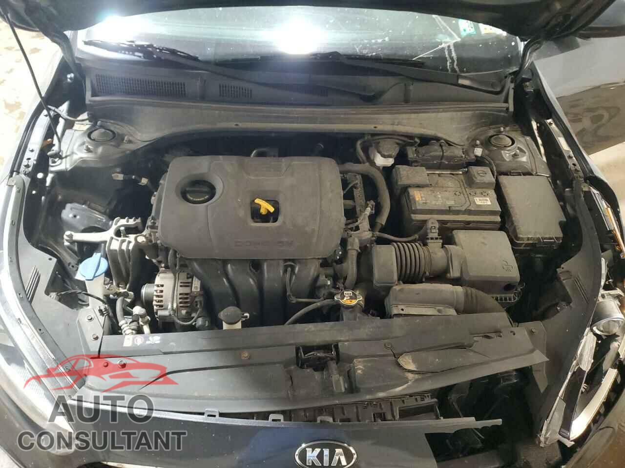 KIA FORTE 2019 - 3KPF24AD4KE101937