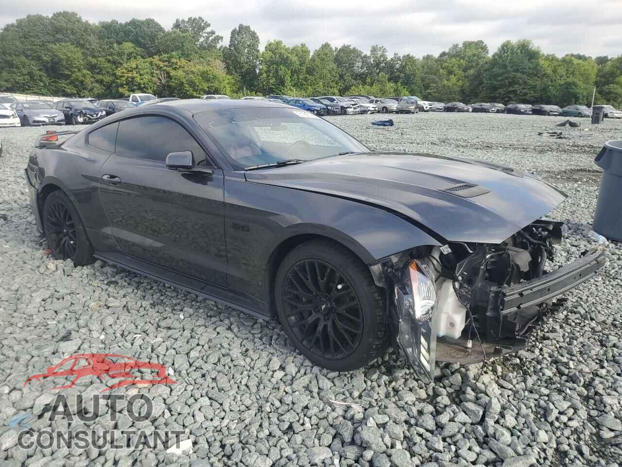 FORD MUSTANG 2019 - 1FA6P8CF2K5116462