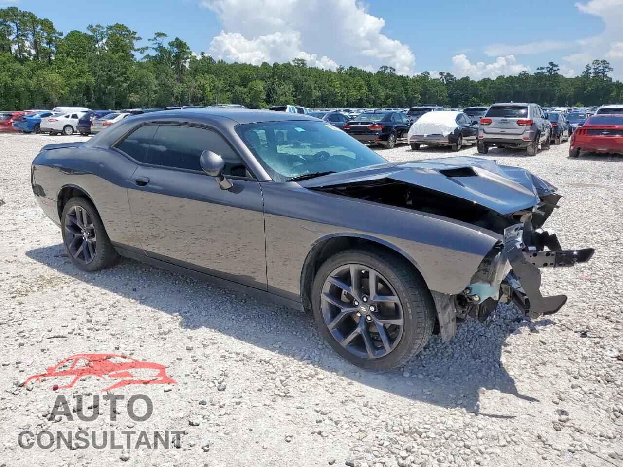 DODGE CHALLENGER 2023 - 2C3CDZAG0PH696130