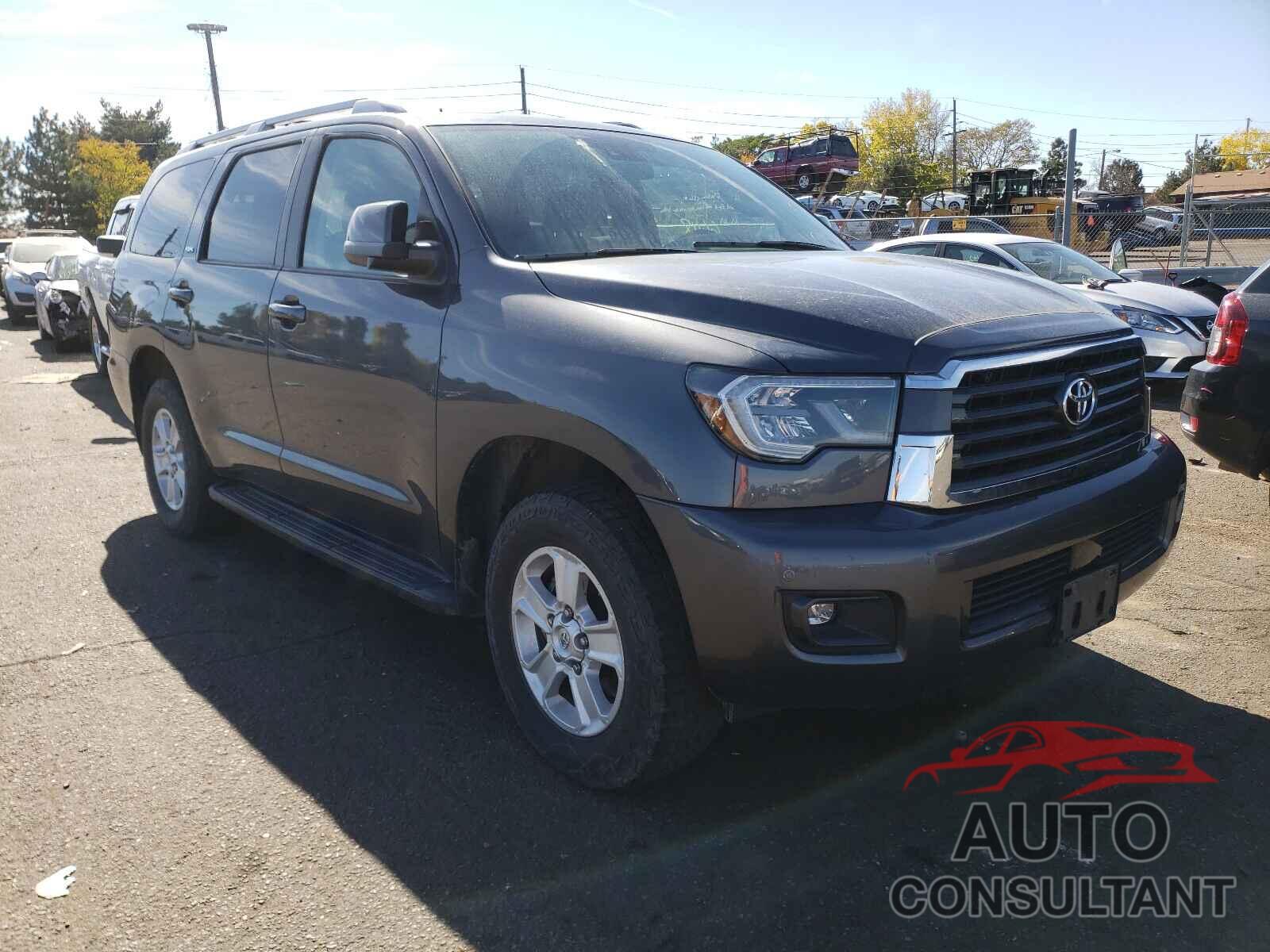 TOYOTA SEQUOIA 2019 - 5TDBY5G10KS169741