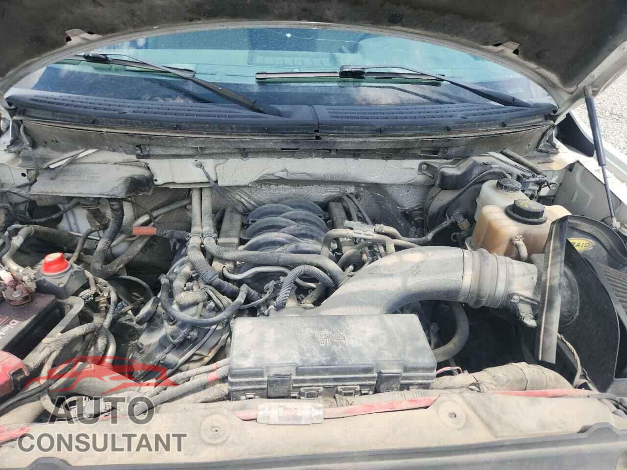 FORD F150 2011 - 1FTFW1EF9BFC85566