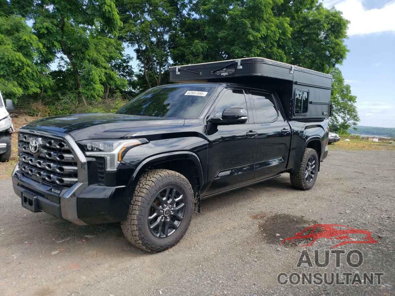 TOYOTA TUNDRA 2023 - 5TFNA5EC3PX017198